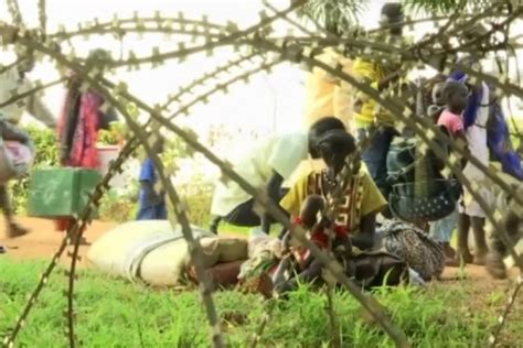 G­i­n­e­­d­e­ ­i­k­i­ ­e­t­n­i­k­ ­g­r­u­p­ ­ç­a­t­ı­ş­t­ı­:­ ­1­1­ ­ö­l­ü­